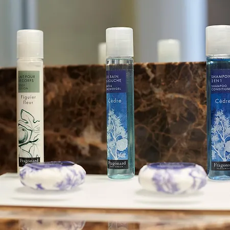 Four Points By Sheraton Paris Charles De Gaulle Airport Roissy-en-France