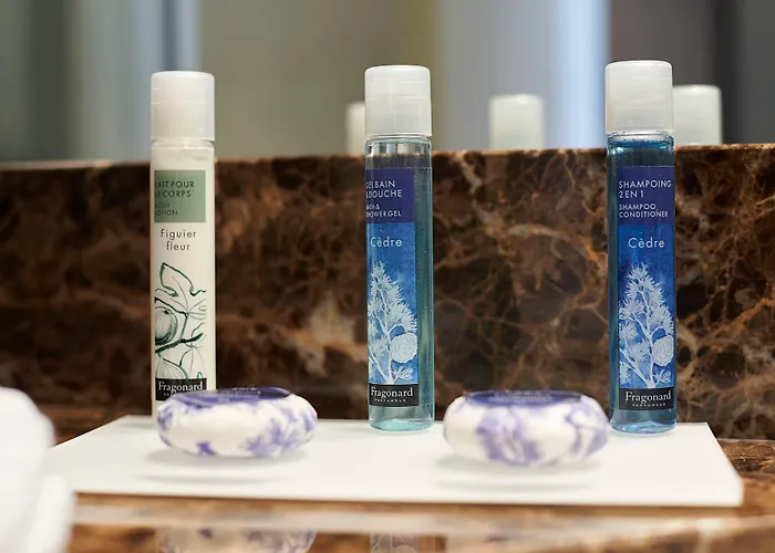 Aiden By Western Paris Cdg 루와시 앙 프랑스